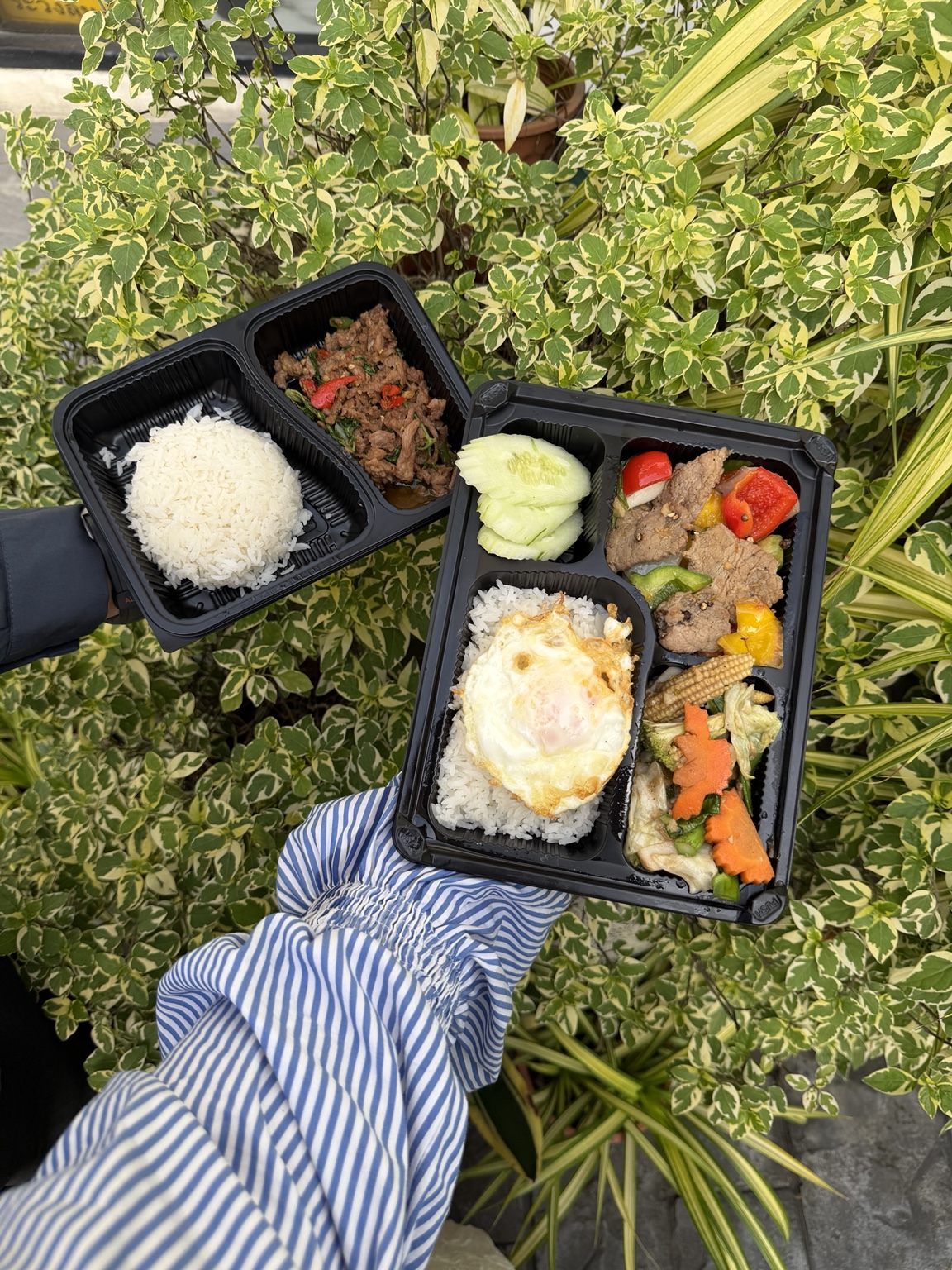 ข้าวกล่องสินธรสองแบบพร้อมข้าว อาหารจานหลัก ไข่ดาวและผัก ถ่ายกับพื้นหลังต้นไม้
